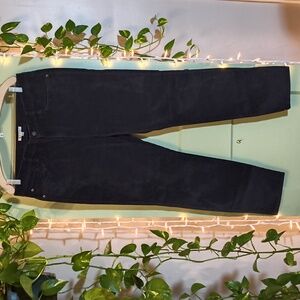 Women's Orvis Velour Suede Velvet Black Straight Leg 16